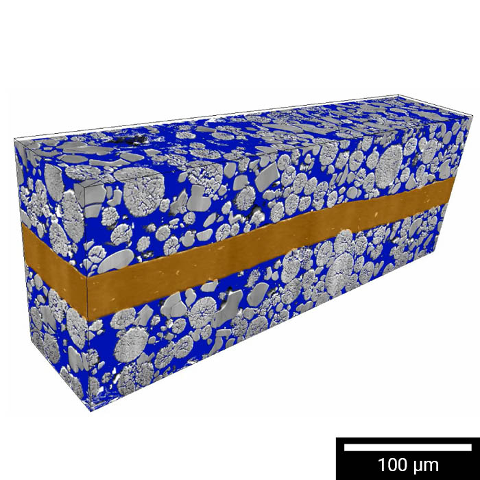 NMC 입자 분포의 대규모 3D FIB-SEM 단층 촬영